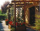 pergola-000010