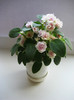 Chanta Iana