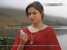 Neha-Jhulka-Wallpaper-001