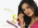 orginal_1e6c04c9-9eea-4dc8-ea94-00006853df01