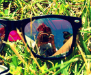 camera-grass-ray-ban-sunglass-Favim_com-134635_thumb_thumb