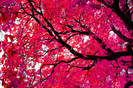 tumblr_lsntsx8Tcl1qbcs4so1_500_large