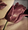 Arsura_by_AbsintheExtravagance