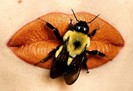 bug,lips,orange,scary,bee,hot-ef4582aa18d5530c758098d423028373_h