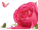 pink-flower-1280