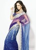 Bright-Embroidered-Net-Saree-SACAAA247-u