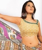 New-Saree-Blouse-Designs-2011