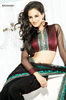 Royal-Black-Net-Saree-SACAAA231-b