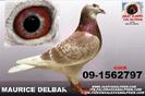 6ec7156ef51aba304c9a3ab7f0f3b565
