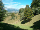 92. Faneata de la Sirnea.