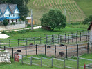 111. Strutii de la SIRNEA.