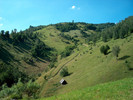 136. Poteca spre Magurice.