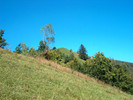 141. Turtudaul.