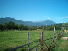 156. PIATRA CRAIULUI vz.de la Wolf.