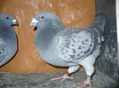 m010