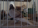 P121111_11.40_[01]