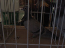 P121111_11.40_[02]