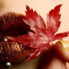 flowers,asbeautydies,deviant,human,leaves,lips-d999b1082d8ac10219cb954ccaac8c14_h