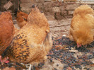 P9100383