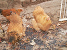 P9100382