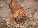 P9100381