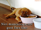 Nici mancarea n-are gust fara tine