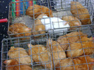 DSC06456