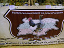 DSC06564