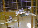 DSC06569
