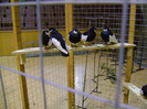 DSC06572