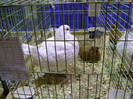 DSC06586