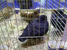 DSC06588
