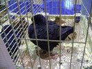 DSC06589