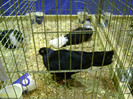 DSC06592