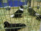 DSC06594