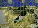 DSC06599