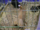 DSC06602