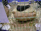 DSC06603