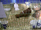 DSC06608