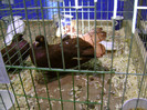 DSC06609