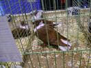 DSC06610