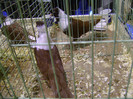 DSC06612