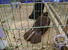 DSC06613