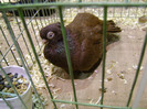 DSC06614