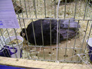 DSC06617