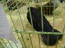 DSC06619