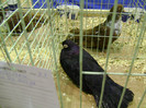 DSC06620
