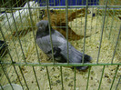 DSC06633