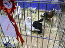 DSC06756