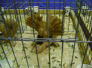 DSC06766